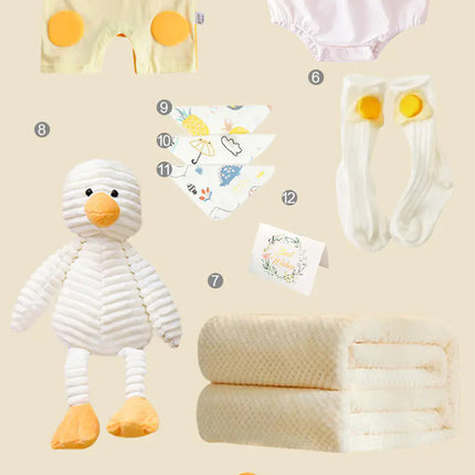 Newborn Gift Box with Summer Dress and Baby Supplies