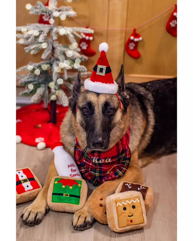 Midlee Gift Box Christmas Squares Sugar Cookie Plush Dog Toy-Reindeer, Gingerbread Man, Santa, Elf