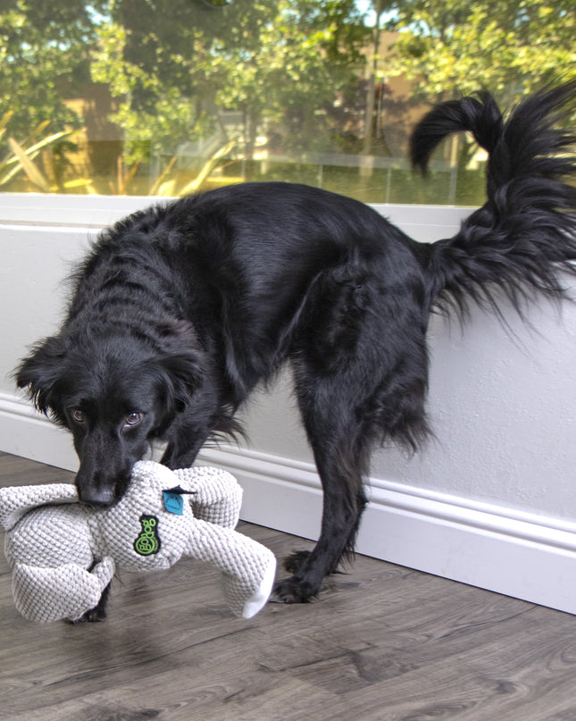 ® Checkers™ Elephant with Chew Guard Technology™, Durable Plush Squeaker Dog Toy, Large, Gray