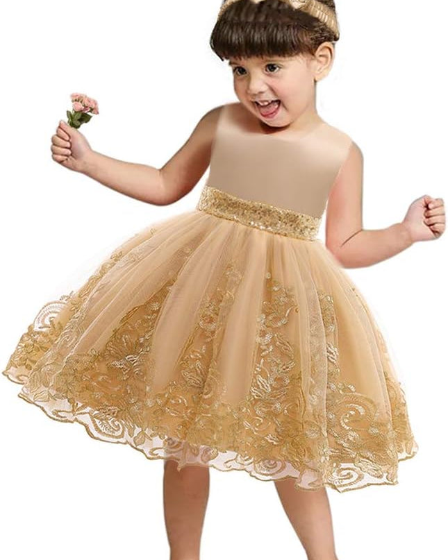 0-6T Big Bowknot Sequins Embroidered Lace Party Tutu Gown Toddler Baby Girls Dress with Headwear