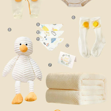 Newborn Gift Box with Summer Dress and Baby Supplies