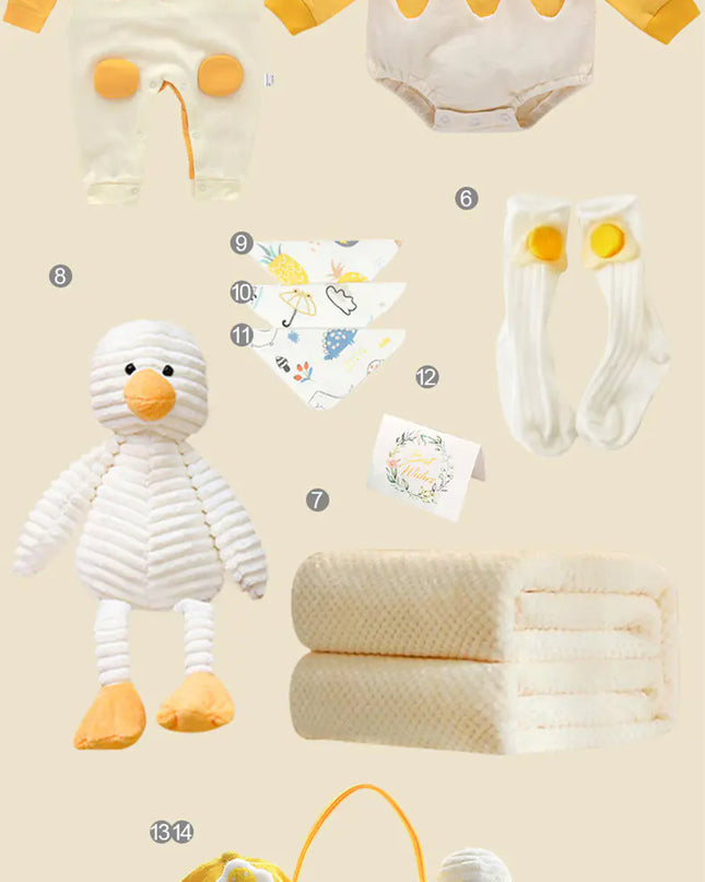 Newborn Gift Box with Summer Dress and Baby Supplies