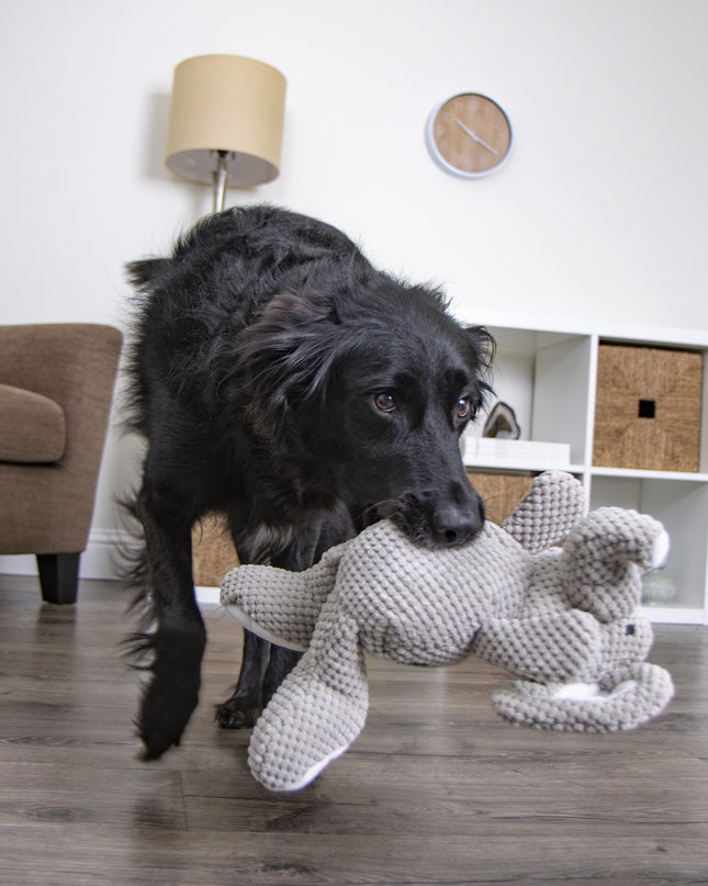 ® Checkers™ Elephant with Chew Guard Technology™, Durable Plush Squeaker Dog Toy, Large, Gray